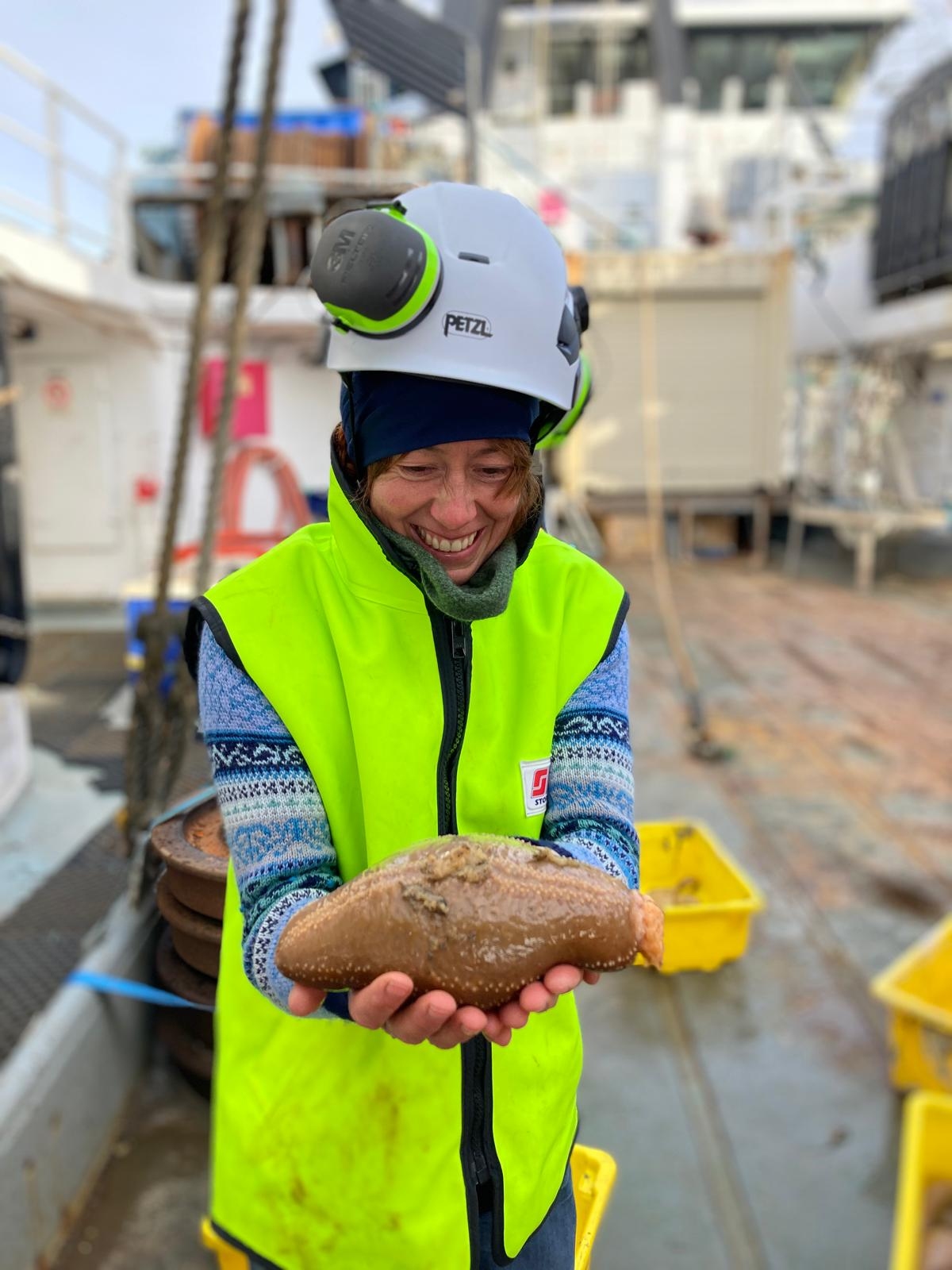 Dr Jenny Visser holds a sea cucumber