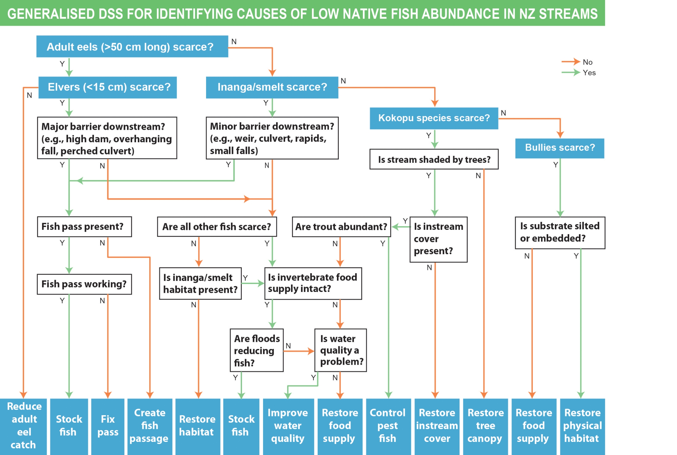 native_fish_flow_chart.jpg | NIWA