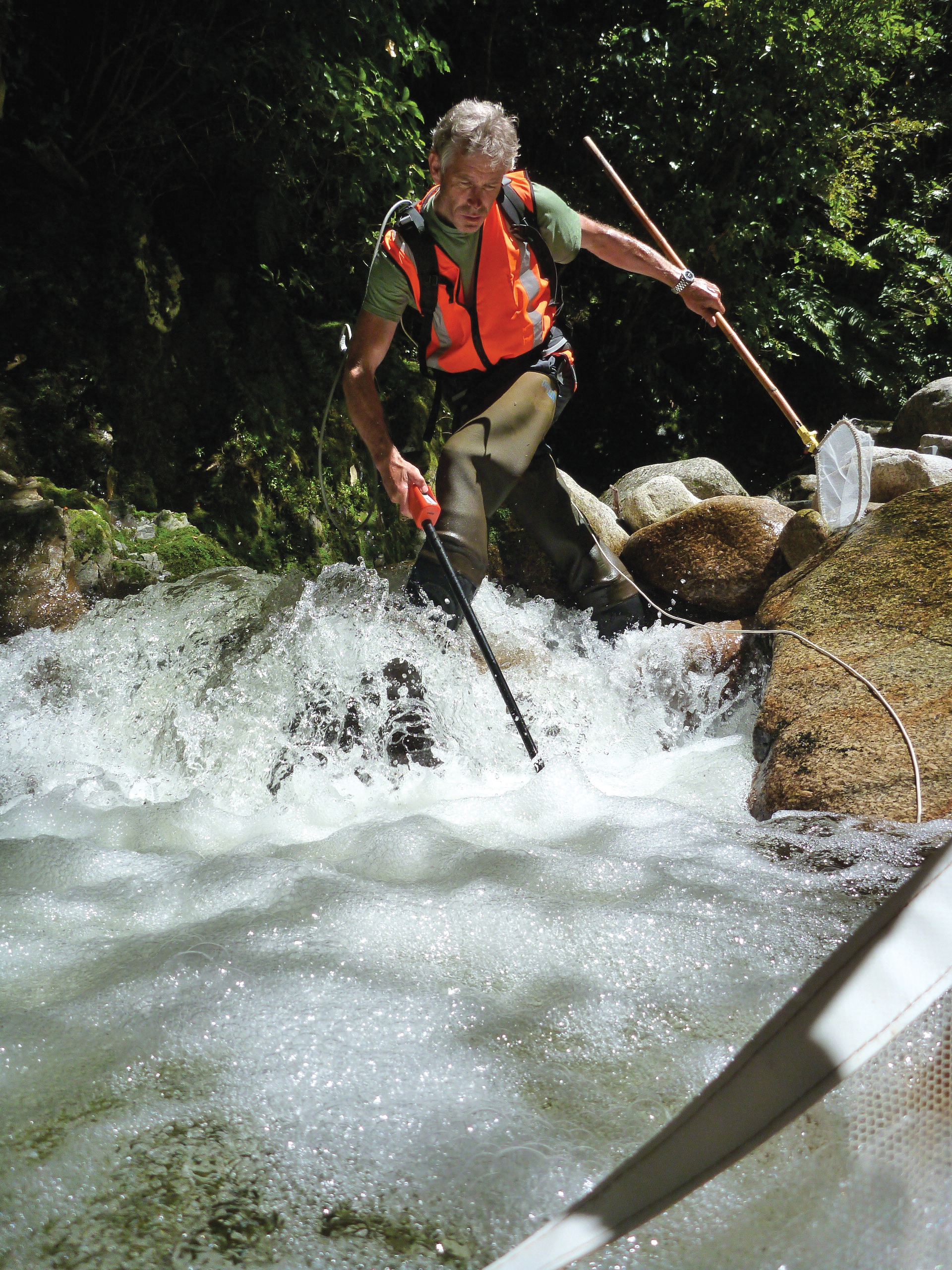 Julian Sykes electro-fishing - Anderson Creek