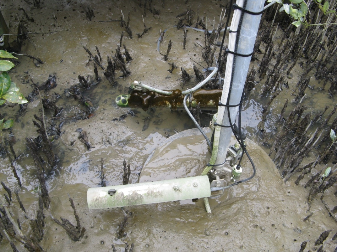 A near real-time telemetered instruments system