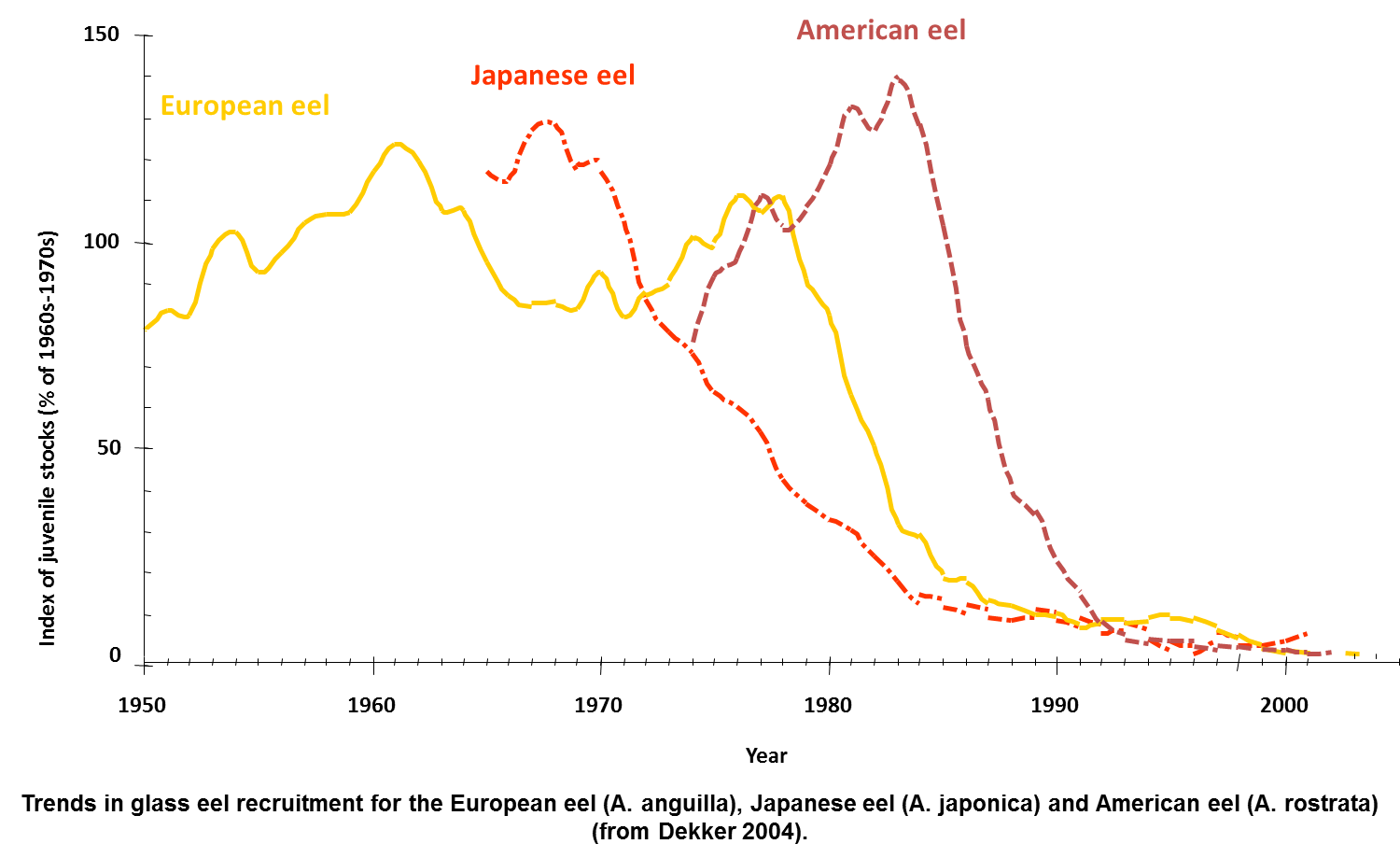 Trends in glass eel recruitment for the European, Japanese and American